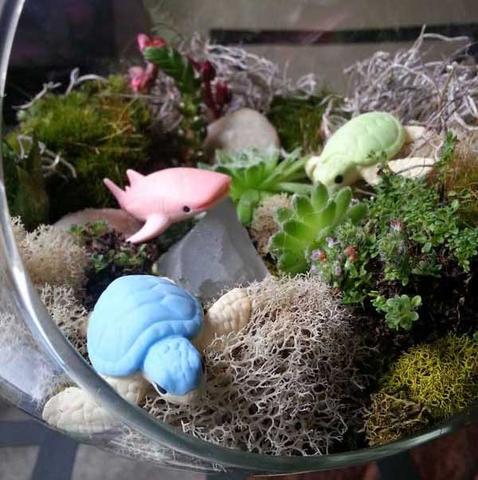 Aquarium Erasers