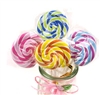 Yummy Lollipop Erasers